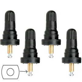 zawory-do-czujnikow-tpms-citroen-ford-jeep-peugeot