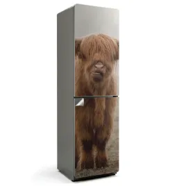 fototapeta-okleina-samoprzylepna-na-lodowke-mlode-bydlo-w-mistycznej-mgle