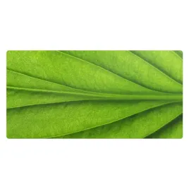 antyposlizgowa-ochronna-mata-na-biurko-detale-liscia-w-naturze-120x60-cm