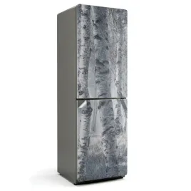 naklejka-modny-sticker-ozdoba-do-kuchni-na-lodowke-zamglony-brzozowy-las