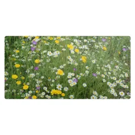 mata-biurkowa-ze-wzorem-dla-nastolatkow-i-studentow-folkowa-laka-100x50-cm