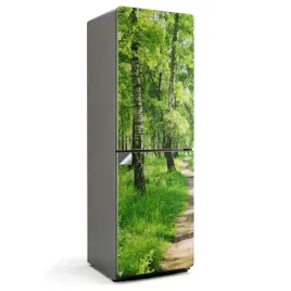 folia-samoprzylepna-foto-ze-zdjeciem-na-lodowke-lesna-sciezka-w-naturze