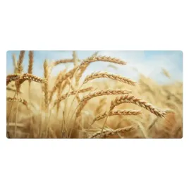 uniwersalna-podkladka-ochronna-na-stol-i-blat-klosowe-krajobrazy-90x45-cm