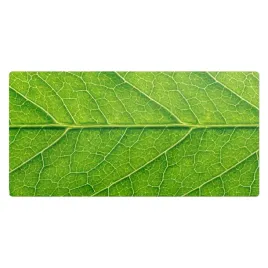 ochronna-mata-winylowa-do-biurka-i-stolu-zielony-lisc-w-detalu-100x50-cm