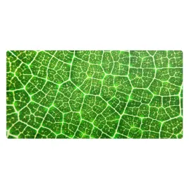 mata-ochronna-na-blat-do-firmy-biura-pracy-zielony-lisc-z-bliska-90x45-cm