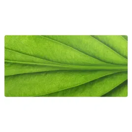 wytrzymala-mata-antyposlizgowa-na-blat-biurka-zblizenie-na-lisc-90x45-cm