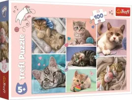 puzzle-trefl-koty-100-elementow-w-kocim-swiecie