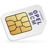 i-o-terminal-lic-opel-bcm-delphi-bosch-continental