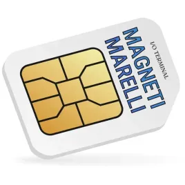 i-o-terminal-lic-magneti-marelli-ecu-sterowniki
