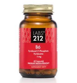 2-sztuki-labs212-vitamin-b6-pyridoxal-5-phosphate-pyridoxine-60-kaps