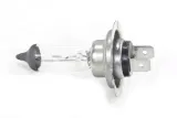 zarowka-12v-55w-h7-wb-or-roy27759-stan-nowy