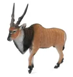 antylopa-olbrzymia-eland