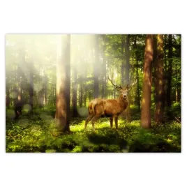naklejki-200x135-jelen-w-magicznym-lesie