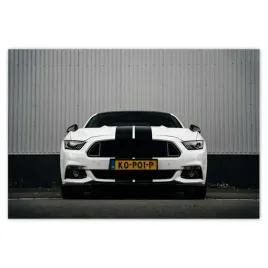naklejki-200x135-ford-mustang-z-paskami