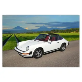 baner-200x135-biale-porsche