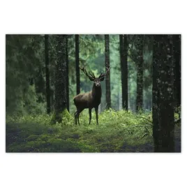 baner-200x135-piekny-jelen-wsrod-drzew