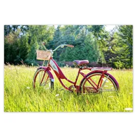baner-200x135-rowery-rowerki-dwa-kolka