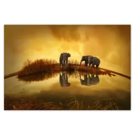 baner-200x135-slonie-przy-wodopoju
