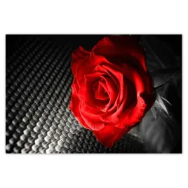 baner-200x135-czerwien-wsrod-szarosci