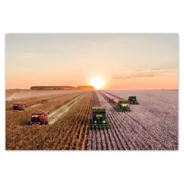 baner-200x135-zniwa-rolnictwo-kombajny