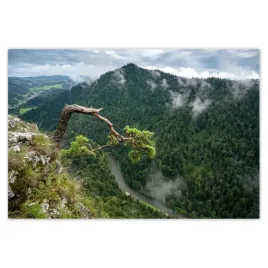 baner-200x135-pejzaz-krajobraz-sokolica