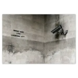 baner-200x135-banksy-kamera-graffiti