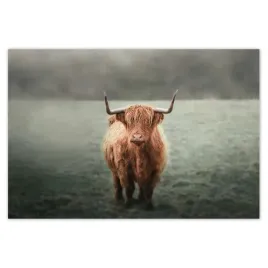 baner-200x135-jak-z-rogami-laka-gorska