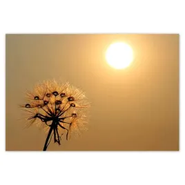 baner-200x135-dmuchawiec-kwiat-kwiatki