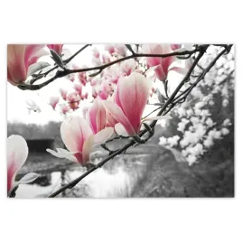 baner-200x135-magnolia-kwiatki-kwiaty