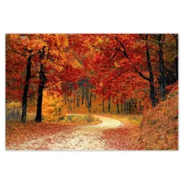 baner-200x135-pejzaz-krajobraz