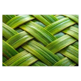 baner-200x135-zielona-plecionka-zielony-rattan