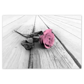 baner-200x135-roza-na-jasnych-deskach