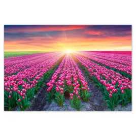 baner-200x135-morze-tulipanow-kwiaty