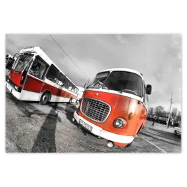 baner-200x135-czerwone-jelcze