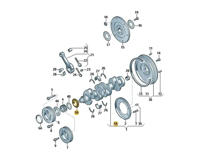 kolo-zebate-numer-katalogowy-czesci-06a105209b