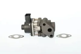 zawor-egr-wahler-711024d