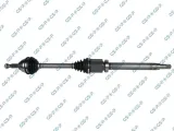 polos-prawa-gsp-299042