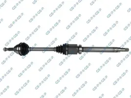 polos-prawa-gsp-299042