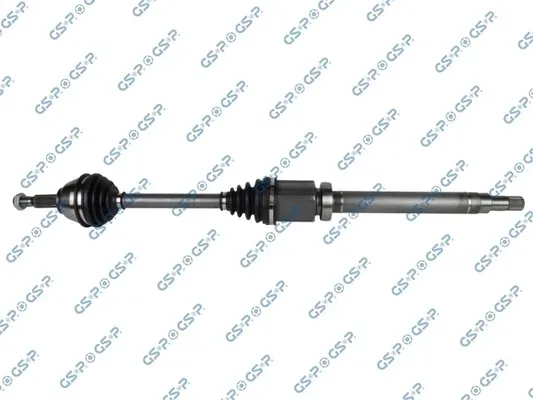polos-prawa-gsp-299042