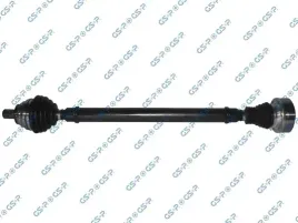 polos-prawa-gsp-261307