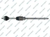 polos-prawa-gsp-262028