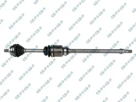 polos-prawa-gsp-262028