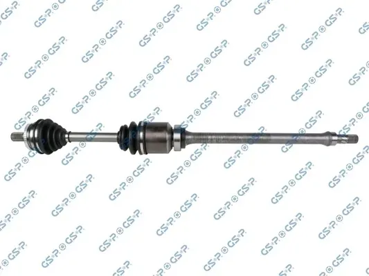 polos-prawa-gsp-262028
