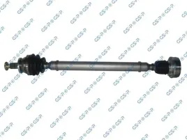 polos-prawa-gsp-261288