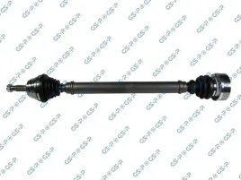 polos-prawa-gsp-261002