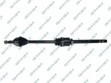 polos-gsp-250554