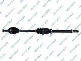 polos-prawa-gsp-250354