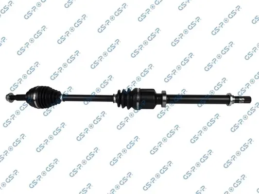 polos-prawa-gsp-250354