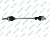 polos-prawa-gsp-250359