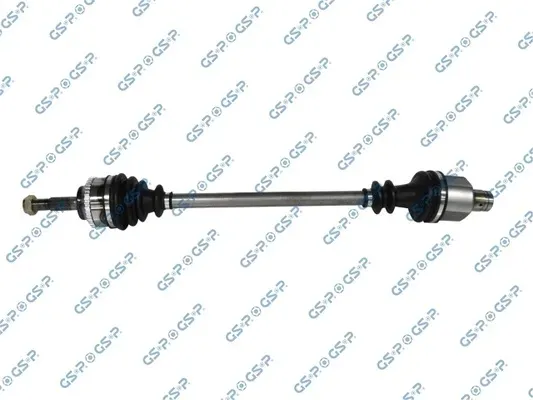 polos-prawa-gsp-250359